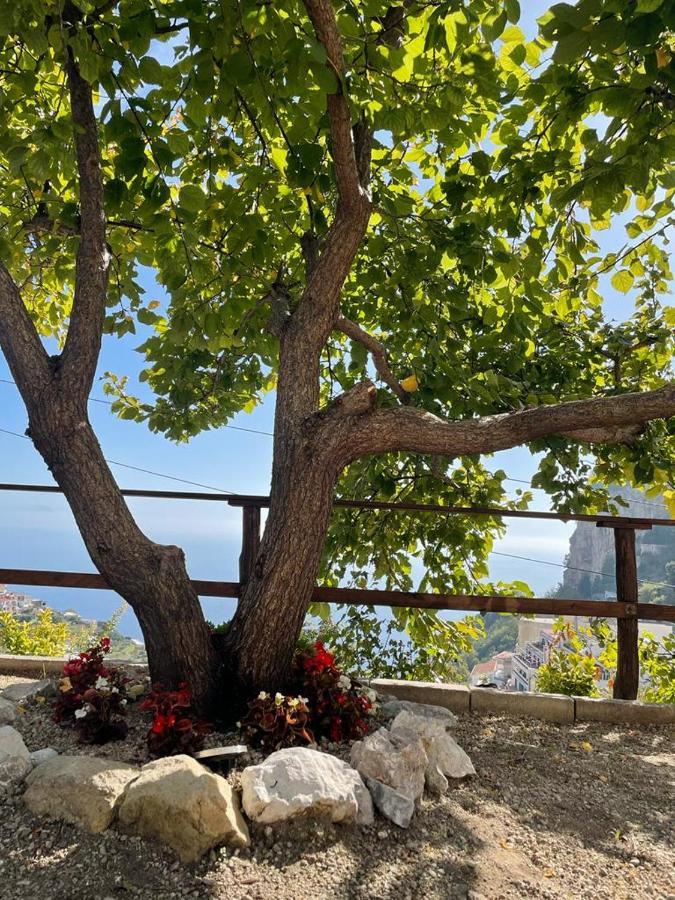 La Villa Di Enzo Casa Vacanze Con Vista Mare 아말피 외부 사진